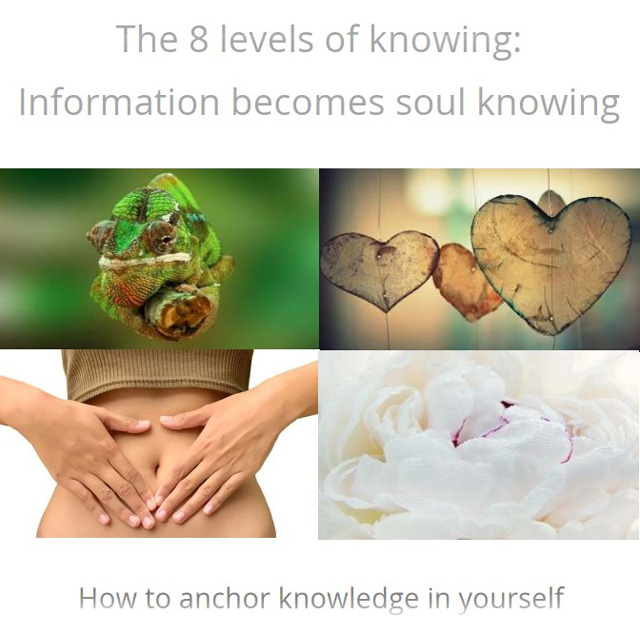 8 levels of knowing