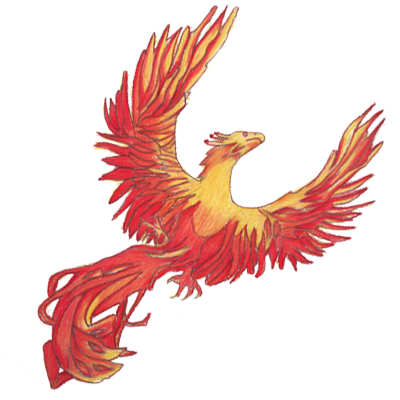 phoenix by Fernand van Os